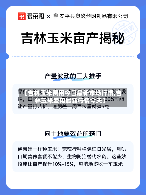 【吉林玉米费用今日最新市场行情,吉林玉米费用最新行情今天】-第3张图片