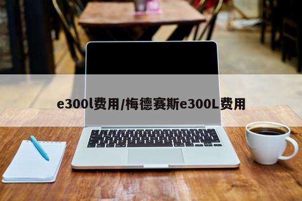e300l费用/梅德赛斯e300L费用