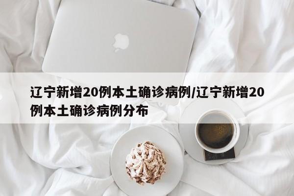 辽宁新增20例本土确诊病例/辽宁新增20例本土确诊病例分布